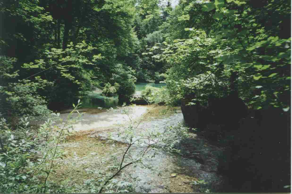 kamniska_bistrica_3.jpg (60931 bytes)